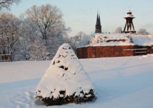 Winter in Uppsala