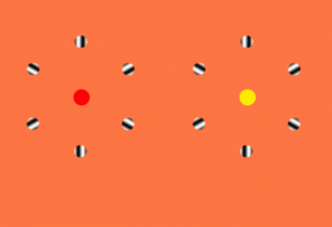 Read more about the article Optical illusions
